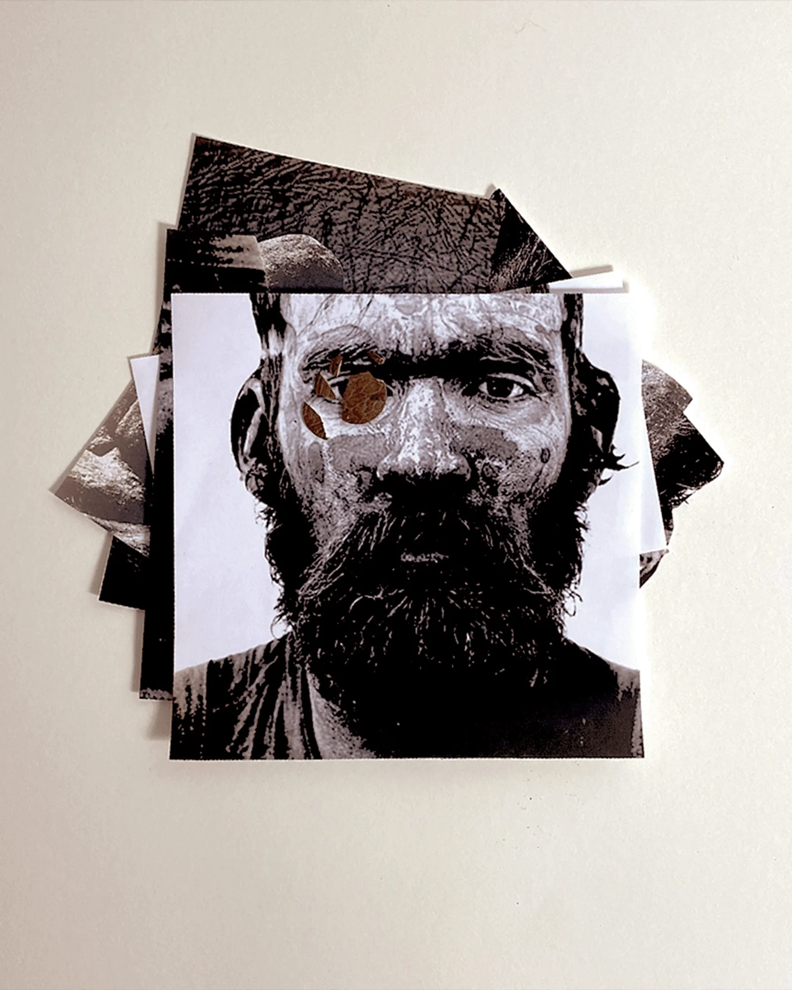 Brutus van Orto Parisi
