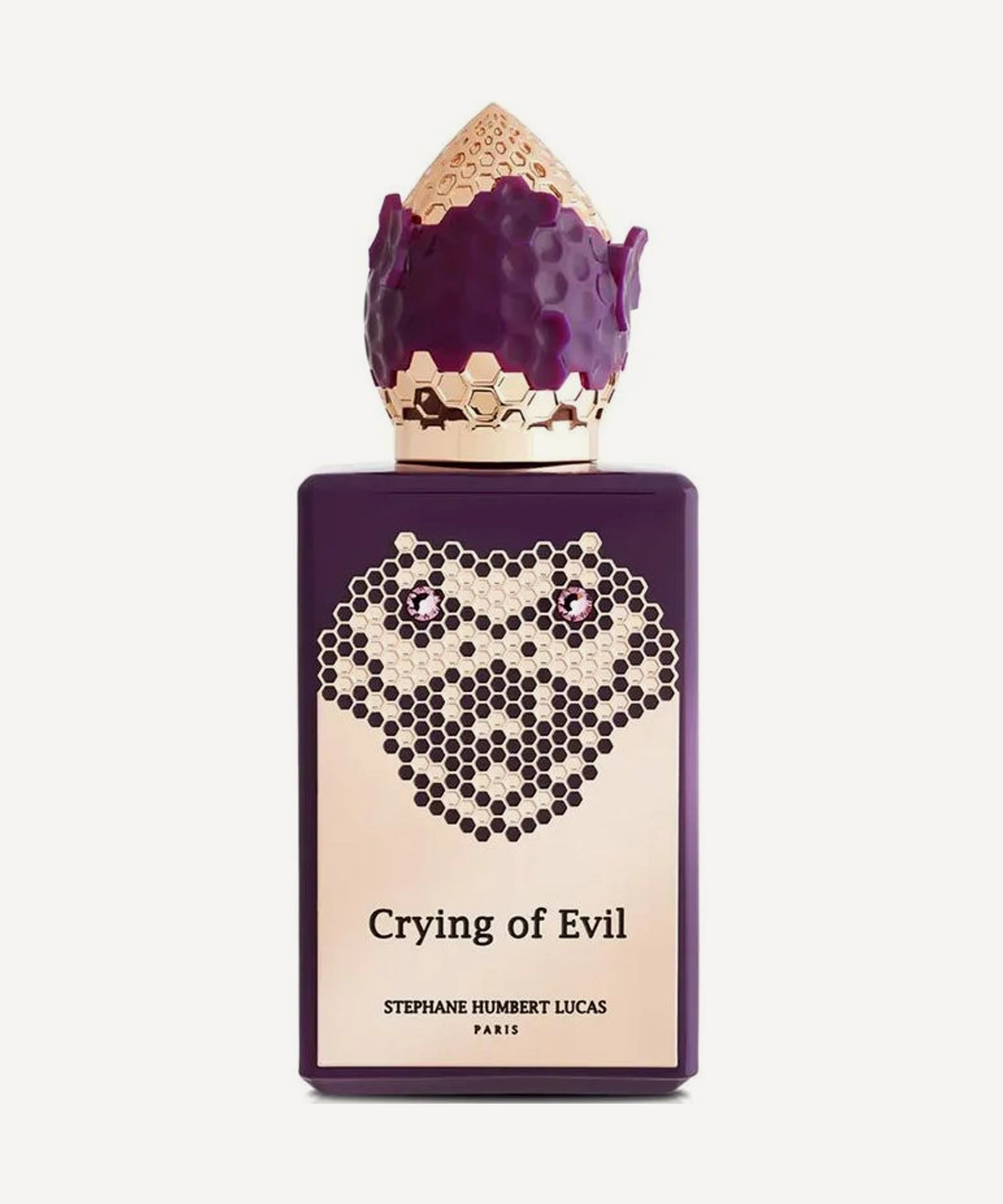 Crying Of Evil van Stéphane Humbert Lucas